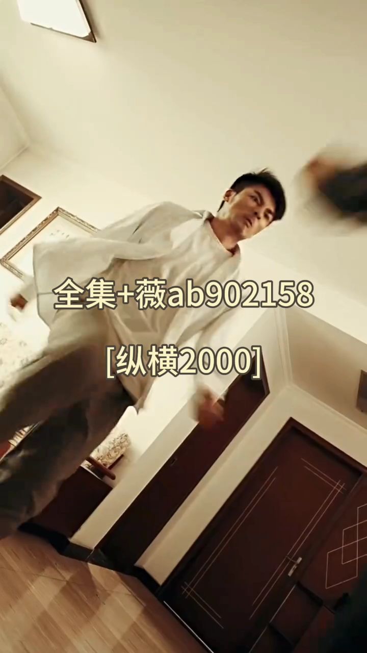 纵横2000(100集)「已完结」