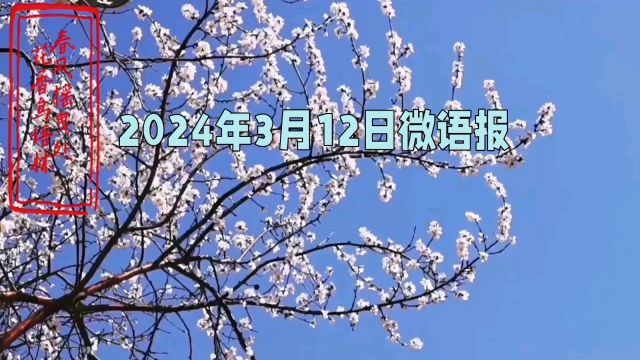 2024年3月12日微语报