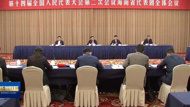 海南代表团举行全体会议 审议全国人大常委会工作报告 “两高”工作报告和三个决议草案