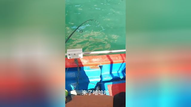 数个1234就来鱼了,钓午鱼就是这么简单,要什么技术