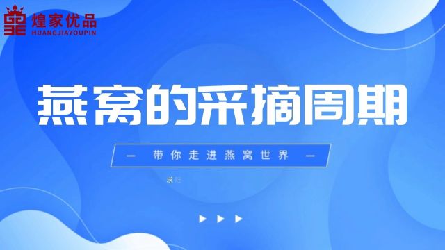 带你走进燕窝世界燕窝的采摘周期多久采摘一次煌家优品每日滋养健康有道