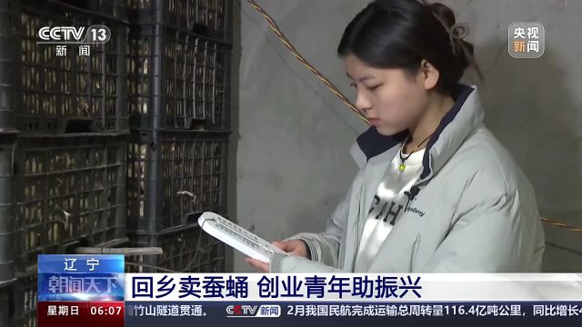 全村半数以上妇女都是“割蛹者” 小小蚕蛹催生这些“新职业”→