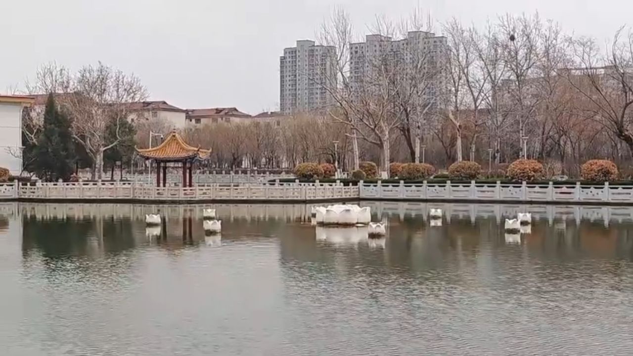于闹市中寻一份静谧 来德州市德城区新湖风景区享美好慢生活