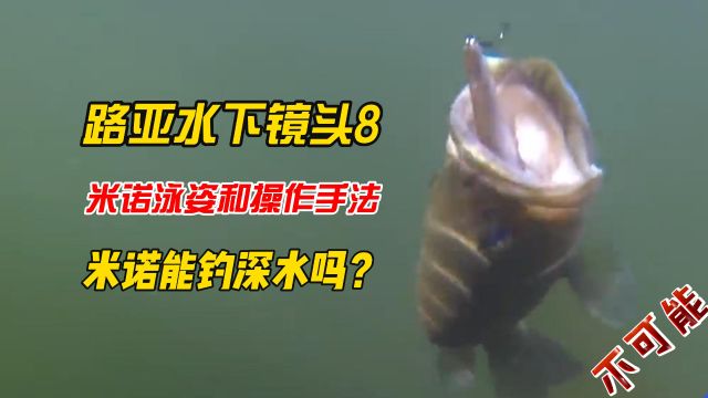 路亚水下镜头8:米诺泳姿和操作手法,米诺能钓深水吗?