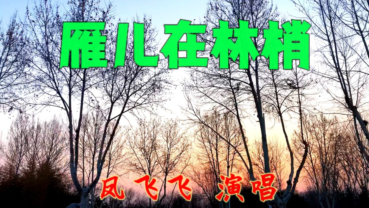 《雁儿在林梢》凤飞飞演唱 一首韵味悠长的怀旧抒情歌曲