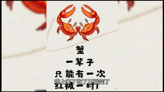 广东珠江惊现蓝色大虾,随便一捞就是上百斤,专家:不是好事