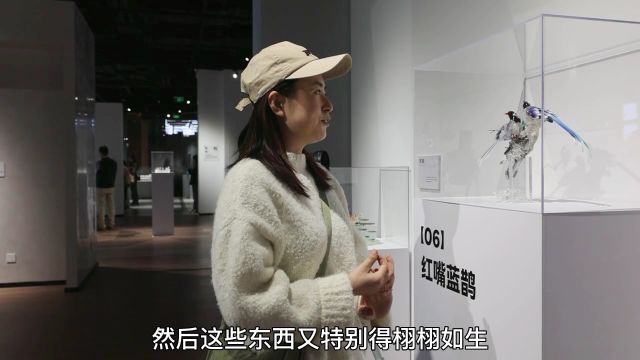 甜蜜艺术,非遗魅力!青岛小伙办起糖艺展,逼真作品被误认玻璃制品