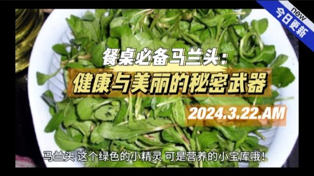 餐桌必备马兰头:健康与美丽的秘密武器