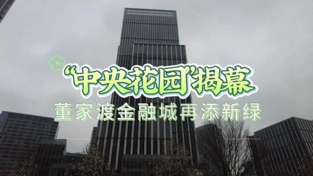 “中央花园”揭幕!董家渡金融城再添新绿