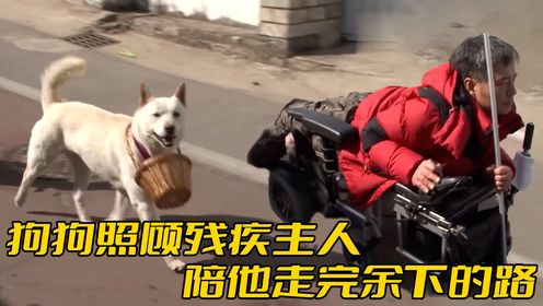 白狗照顾残疾主人8年，每天挂着篮子去帮大叔买菜，看完泪目了