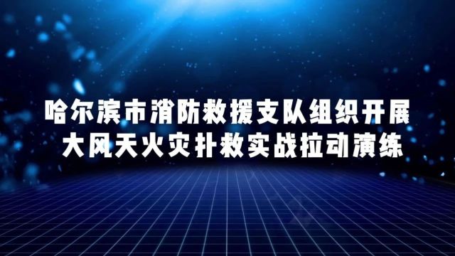 哈尔滨市消防救援支队组织开展大风天火灾扑救实战拉动演练