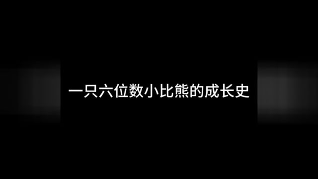 一只极品小比熊的成长史~