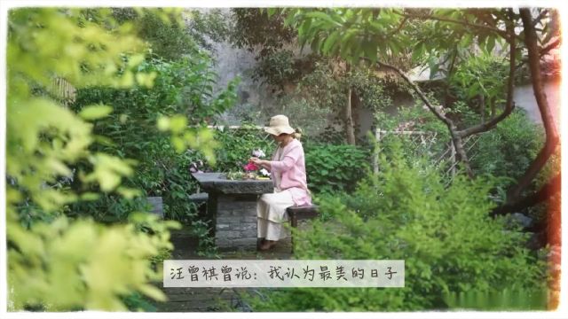 繁花似锦觅安宁,淡云流水渡此生