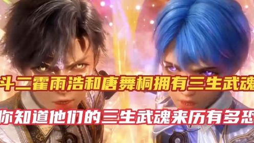 斗罗大陆2绝世唐门：霍雨浩与唐舞桐的三个武魂你们知道都是什么吗_动漫_高清完整版视频在线观看_腾讯视频