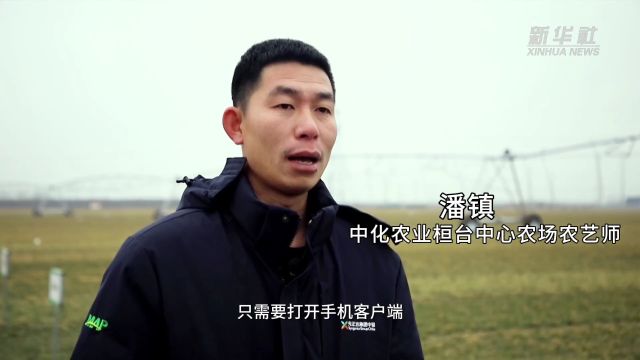 淄博:积极调整农业产业结构 多措并举备春耕