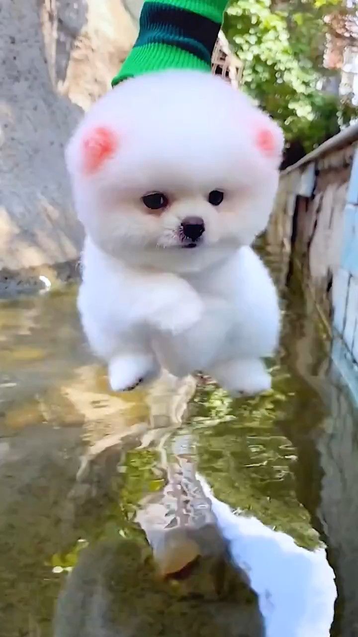 720_1280竖版 竖屏