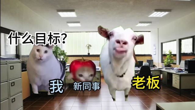 猫meme维维豆奶实习后内容过于真实