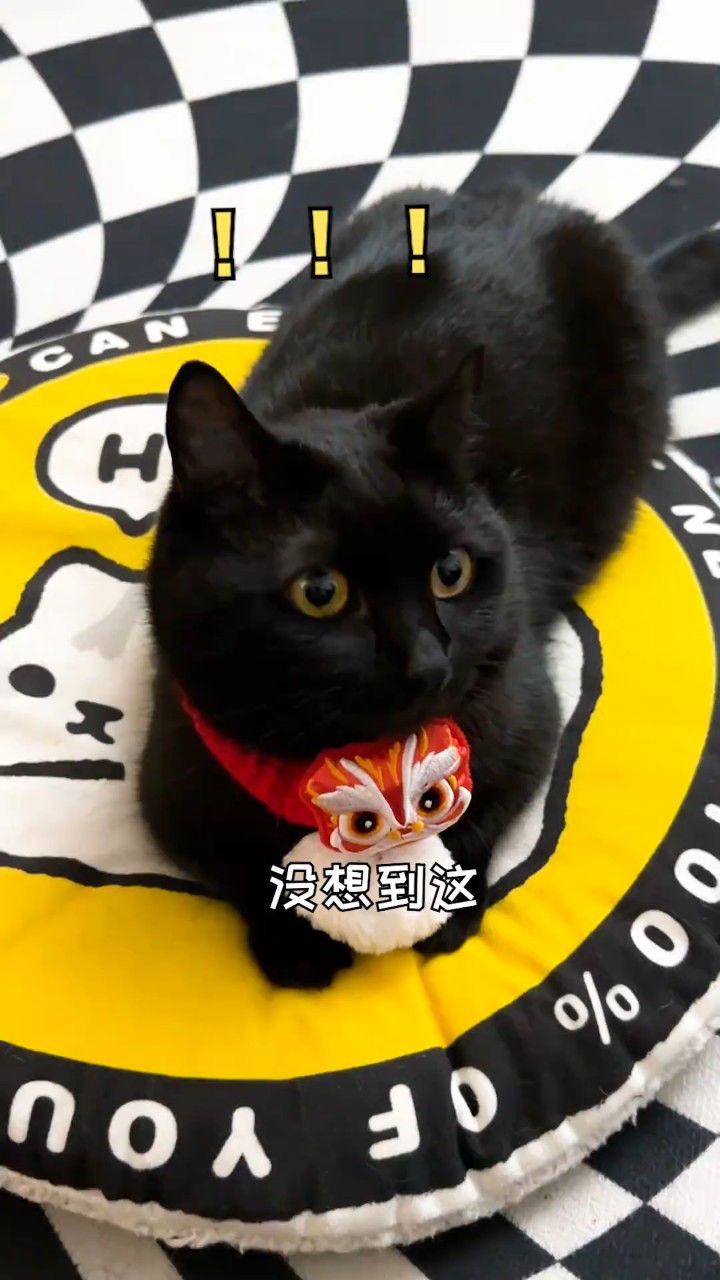 震惊!没想到广州的回南天竟然把我家天花板给搞塌了!