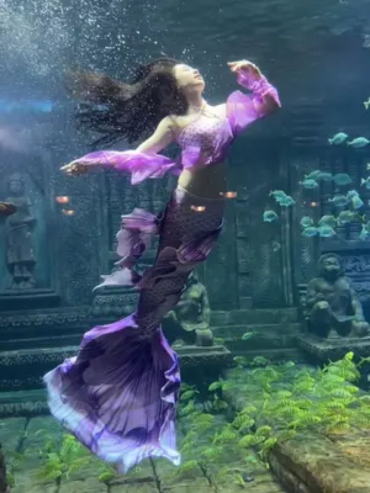 紫荆花开了,我是说可以见一面了#北海海底世界 #深海少女 #美人鱼