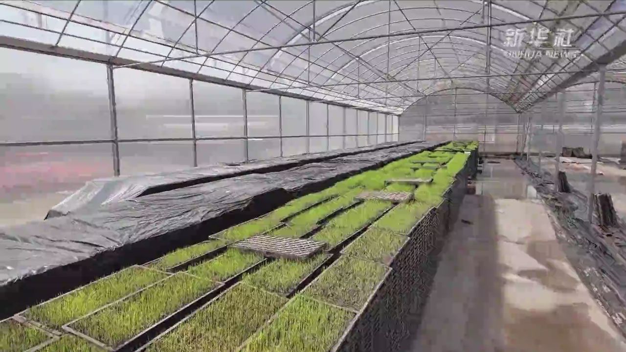 人勤春光好 "天府粮仓"春耕忙