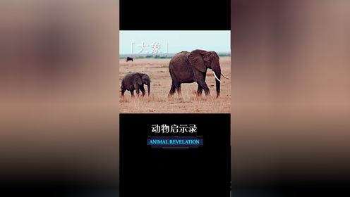 02女儿的任性让妈妈近乎崩溃,真相竟是