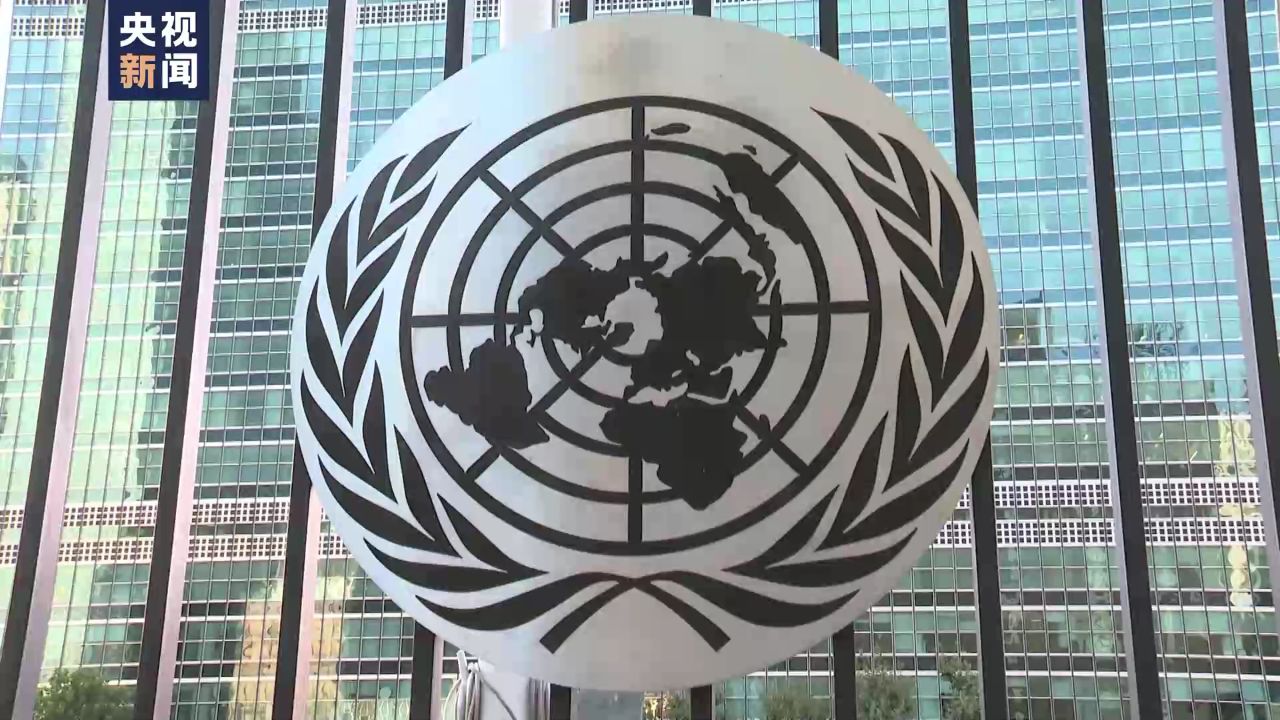 联合国安理会标志图片