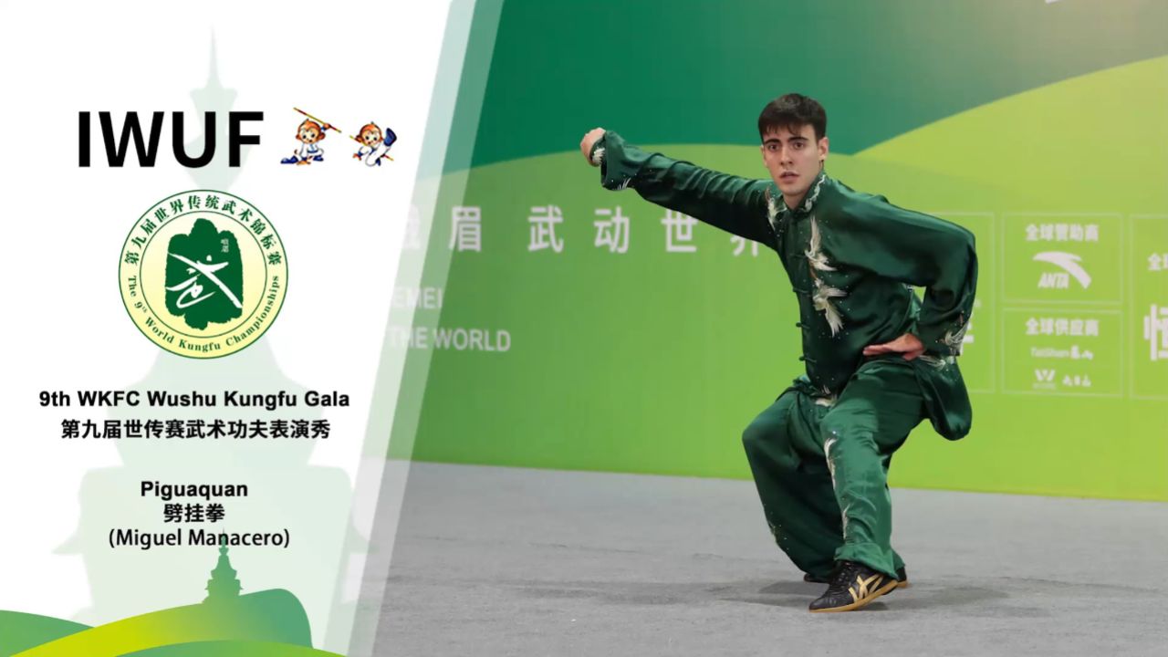 第九届世传赛武术功夫表演秀-劈挂拳(miguel manacero)