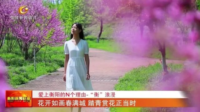 爱上衡阳的N个理由 “衡”浪漫 花开如画春满城 踏青赏花正当时