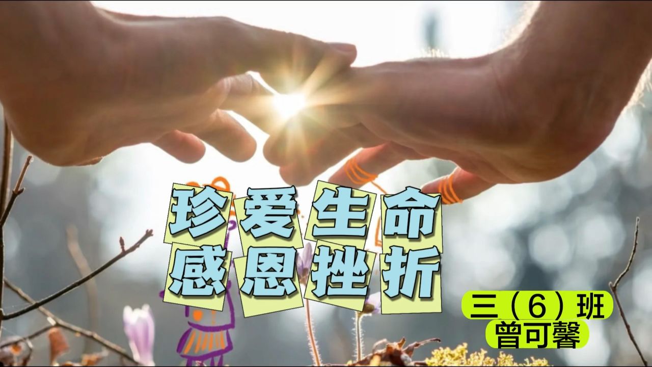 珍爱生命 感恩挫折