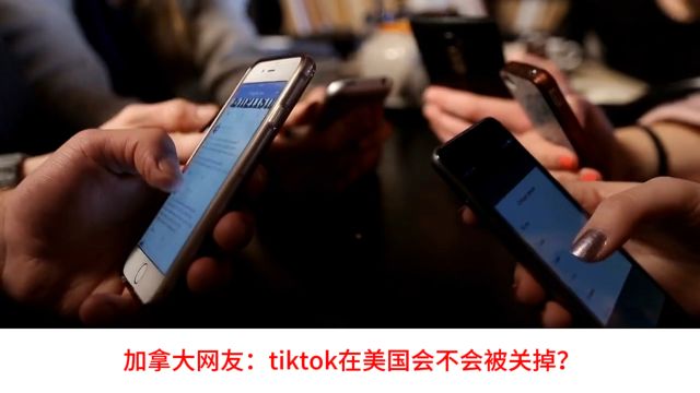 外网看德国总理朔尔茨加入tiktok,法国网友:至少他比美国政客清醒!