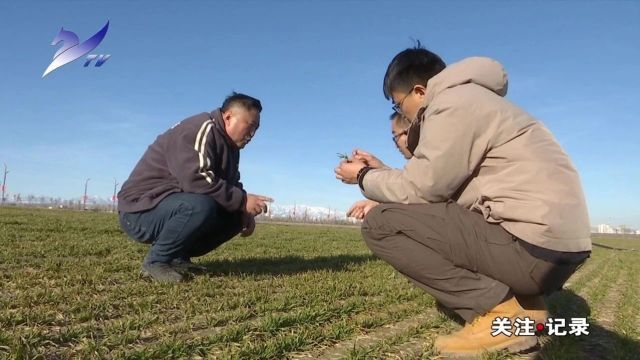 【关注ⷨ𝕣€‘春耕备耕生产忙 粮食生产起步稳