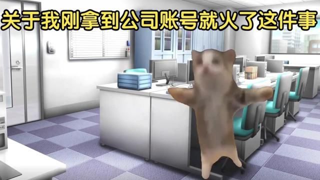 关于我用猫meme解释猫meme这件事 #猫meme #表情包 #猫咪 #猫meme的日常