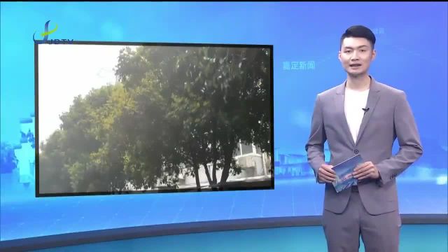 嘉定昨夜降起大雨 清明假期多云到阴