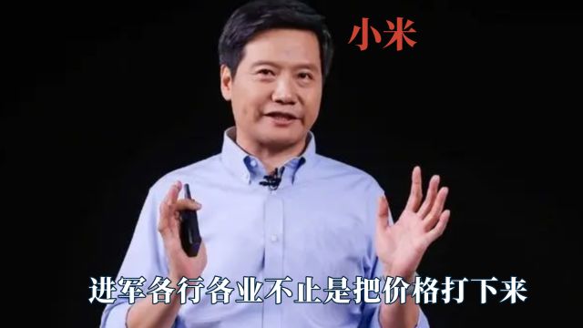 原来雷军进军各行各业,不止是把价格打下来,他真的是良心企业家