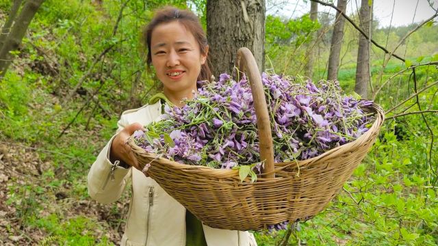 今天上山采葛花了,两棵树就收获了满满一大筐,摘着真过瘾