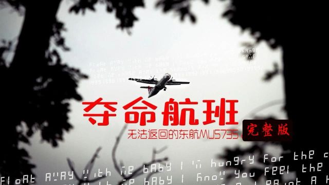 东航MU5735空难最新解密