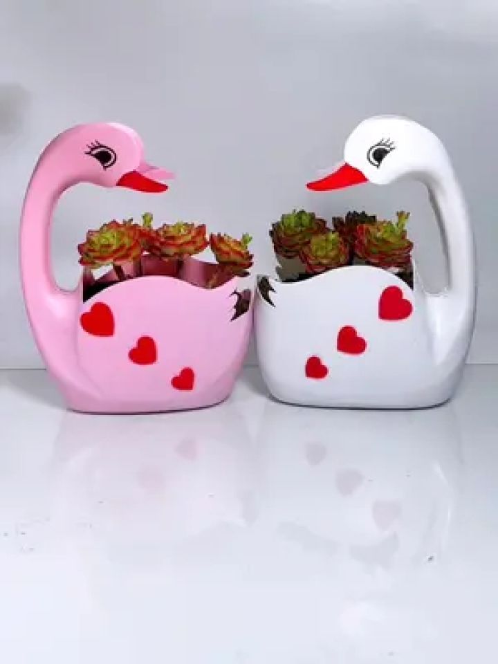 这是我用洗衣液瓶洗洁精瓶改造的花盆收纳盒,评论区也晒晒你的吧#空