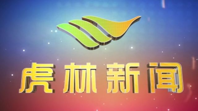 虎林电视台《虎林新闻》2024年4月11日