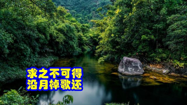 品鉴唐诗 求之不可得 沿月棹歌还 孟浩然 《万山潭作》