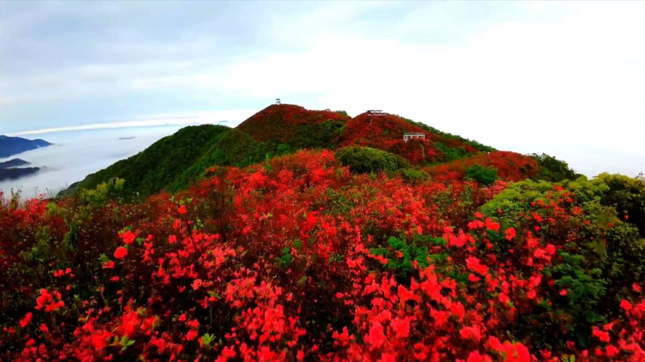 萍乡市湘东区广寒寨乡:花开云海