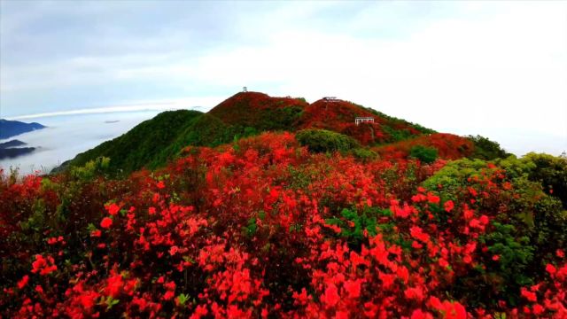 萍乡市湘东区广寒寨乡:花开云海