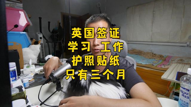 为什么英国学习签证,在护照上的时间长度只三个月?