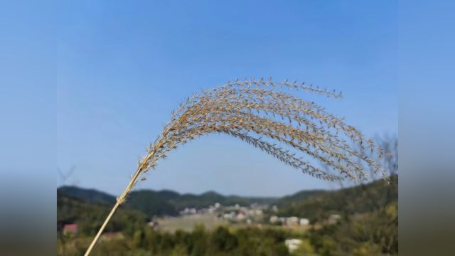 旅行:株洲大京水库 逍遥岛 出差途中22.03