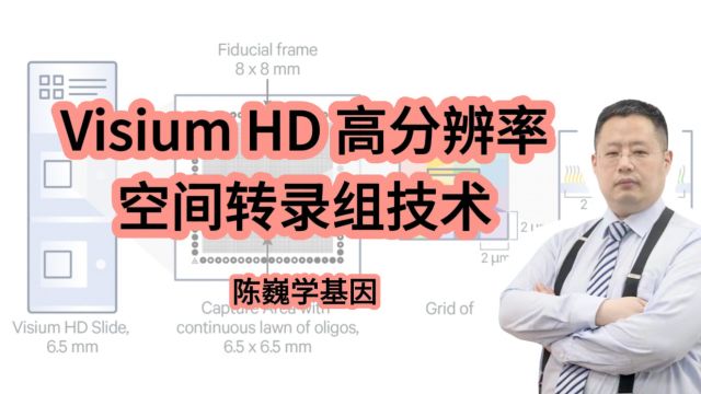 【陈巍学基因】Visium HD 高分辨率空间转录组技术