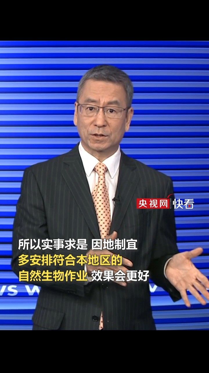 白岩松谈"昆明学生家长满城找桑叶":实事求是,因地制宜,多安排符合