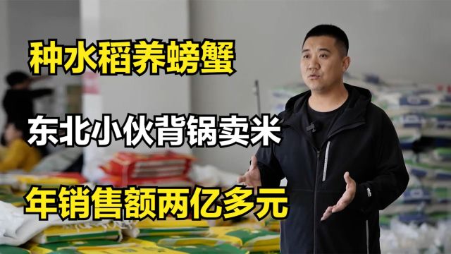 种水稻养螃蟹,东北小伙背锅卖米,年销售额两亿多元