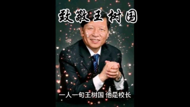 致敬王树国