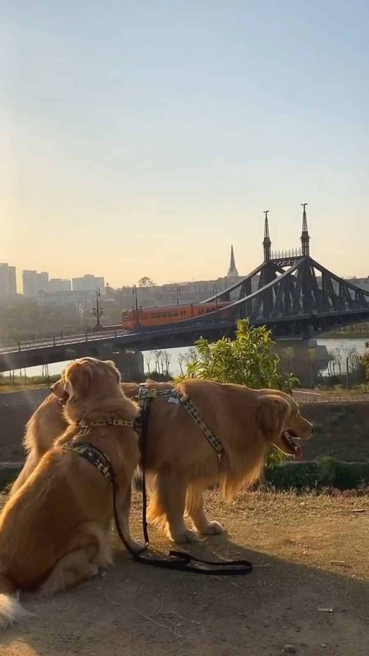 华为欧洲小镇康桥,日落的景