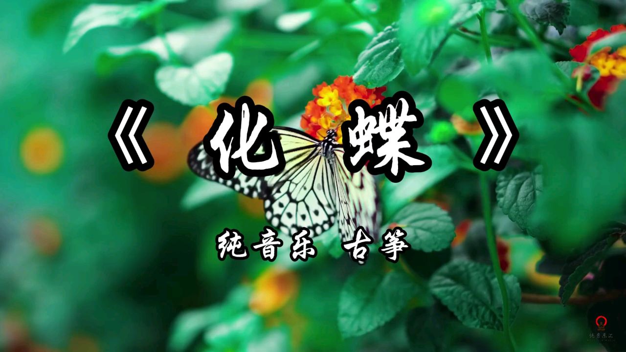歌手春天的化蝶,放大图片(第2页)_大山谷图库