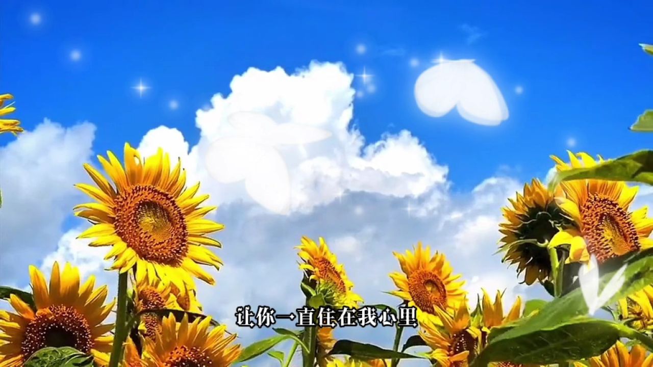 往后余生只爱你